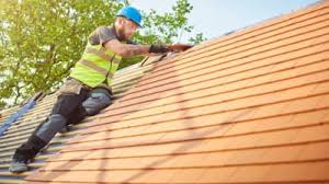 Best Roof Maintenance and Cleaning  in Frazer, PA