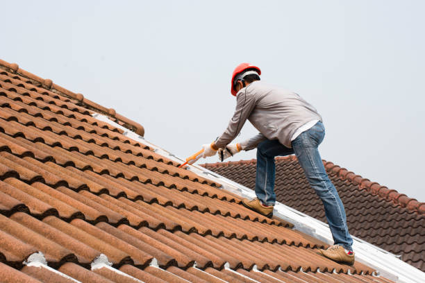 Best Storm Damage Roof Repair  in Frazer, PA